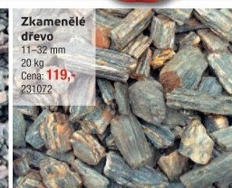 Zkamenělé dřevo