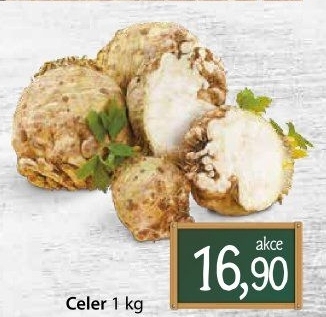 Celer bulva