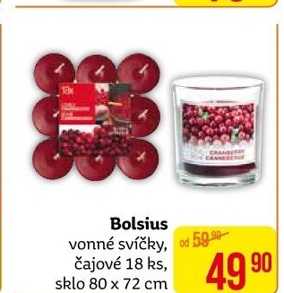 Čajové svíčky Bolsius