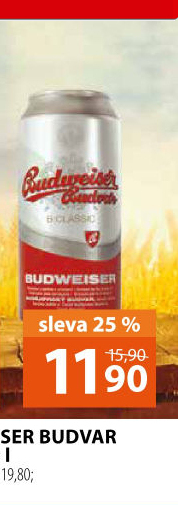 Pivo světlé výčepní B: Classic Budweiser Budvar