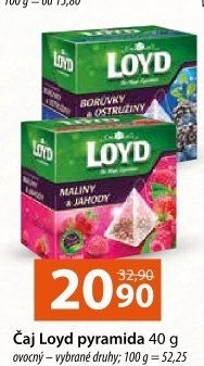 Čaj ovocný Loyd - pyramidový