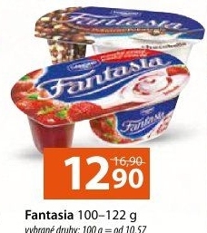 Dezert Fantasia Danone