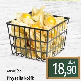 Physalis - Mochyně