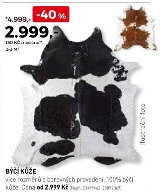 Býčí kůže