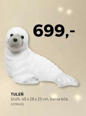 Tuleň