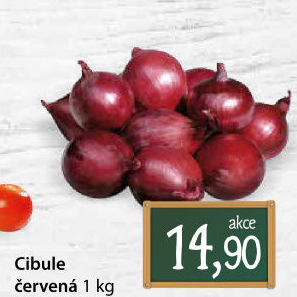 Cibule červená