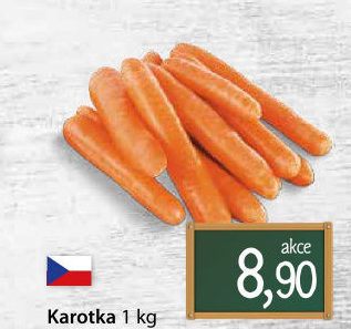 Karotka