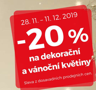 -20% na dekorační a vánoční květiny
