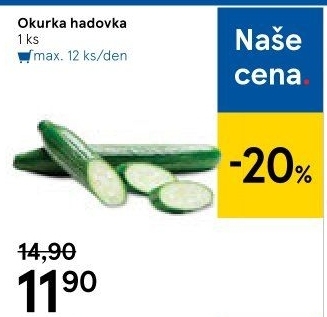 Okurka hadovka