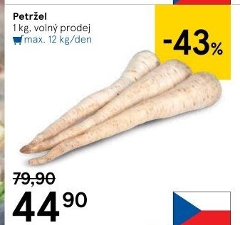Petržel
