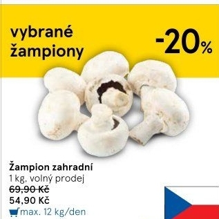 Žampiony zahradní