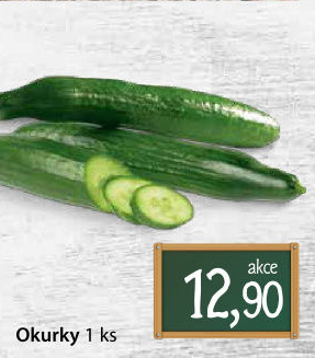 Okurka hadovka