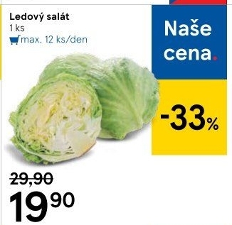 Salát ledový