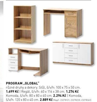 Program Global