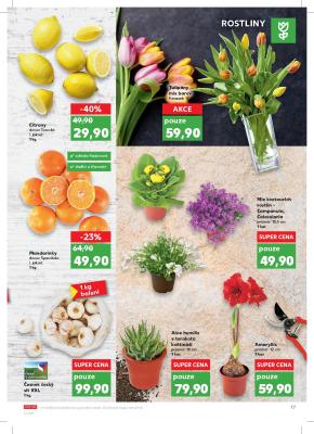 akční leták Kaufland 29.1.2020-4.2.2020