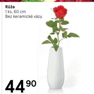 Řezané růže