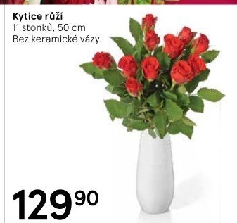 Řezané růže