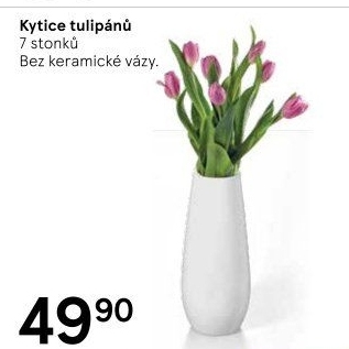 Řezané tulipány