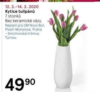 Řezané tulipány
