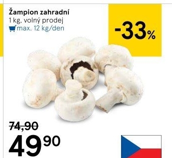 Žampiony zahradní