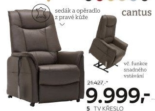 TV křeslo Cantus