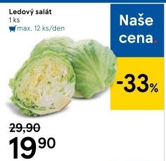 Salát ledový