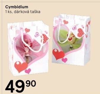 Orchidej