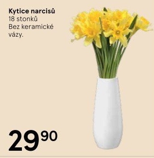 Řezané narcisky