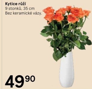 Řezané růže