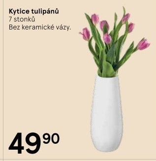 Řezané tulipány