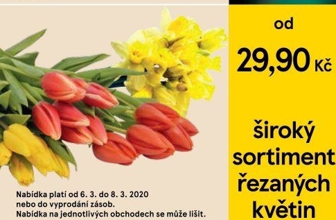 Kytice řezaná