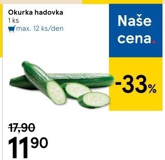 Okurka hadovka