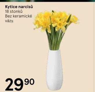Řezané narcisky