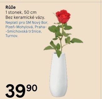 Řezané růže
