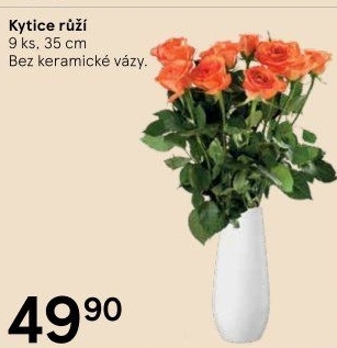Řezané růže