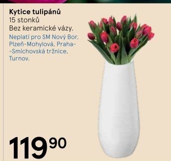 Řezané tulipány