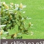 Regál na krbové dřevo Spessart