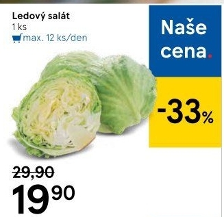 Salát ledový