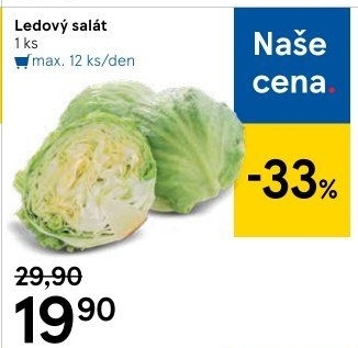 Salát ledový