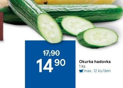 Okurka hadovka