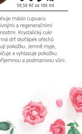 Dezinfekční přípravek Anti-Covid