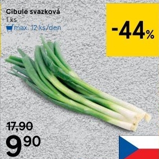 Jarní cibule svazek