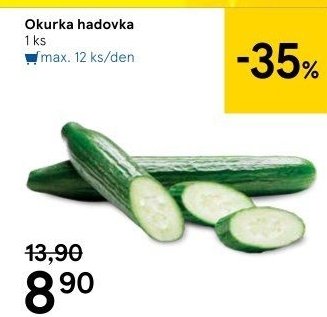 Okurka hadovka