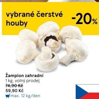Žampiony zahradní