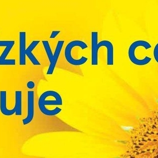 Pivo světlý ležák Heineken