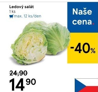 Salát ledový