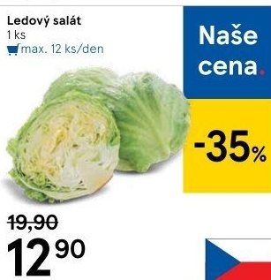 Salát ledový