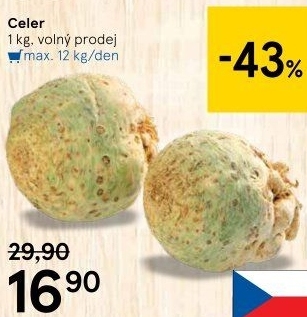 Celer bulva