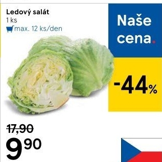 Salát ledový