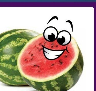 Vodka Hanácká